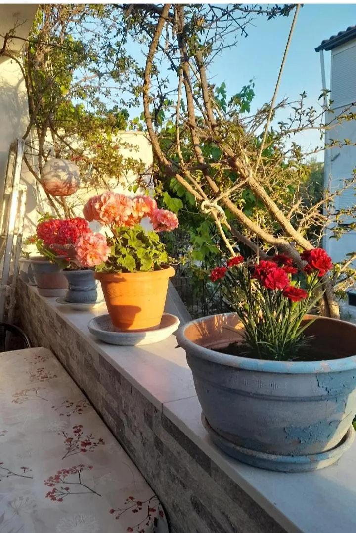Cozy Maisonette In Pefkochori Chalkidiki 0*,  Grecia